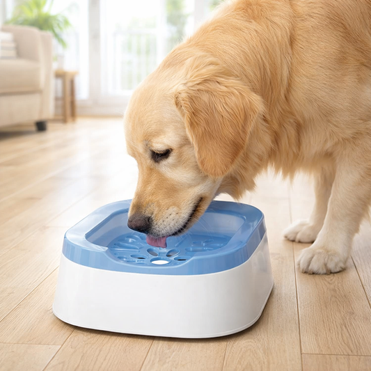 Cuenco Antisalpicaduras para Perros – Agua Limpia sin Derrames